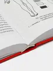 Большой справочник по массажу,