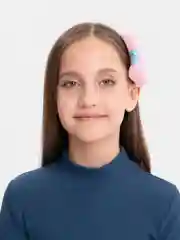 Розовый объемная, большая заколка для волос