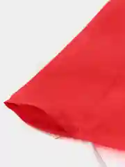 Красный флаг ВДВ, СССР,военная разведка, Башкортостана,Флаг Татарстан,флаг Чечнифлагшток