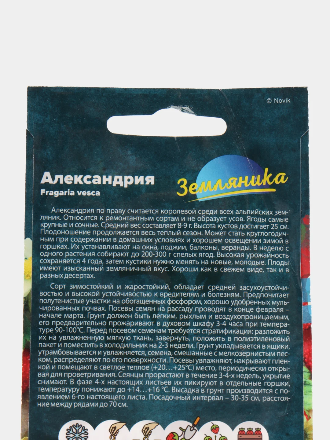 Семена Земляника "Александрия"