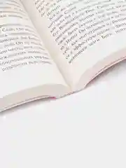 Вероника решает умереть, Коэльо П.