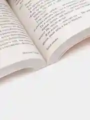 Тихая гавань, Спаркс Н.