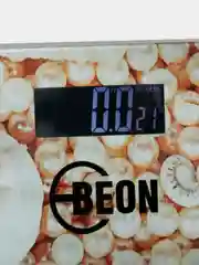 Весы напольные электронные BEON BN-1100