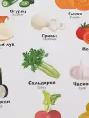 Белый развивающие игры детям игрушки малышам развивашки липучки