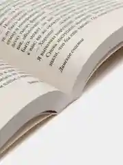 Дамское счастье, Золя Э.