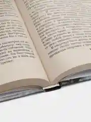 Книга Слепой: Повелитель бурь, детектив. Андрей Воронин