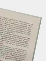 Книга Слепой: Повелитель бурь, детектив. Андрей Воронин