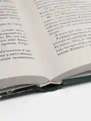 Книга "Паника-upgrade. Брат Бога". Александр Мазин. Фантастика