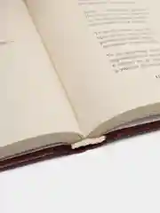 Книга Лирика. Леонид Петренко. Сборник стихотворений