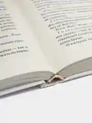 Книга "Приятная женщина с цветком и окнами на север", Эдвард Радзинский, сборник пьес