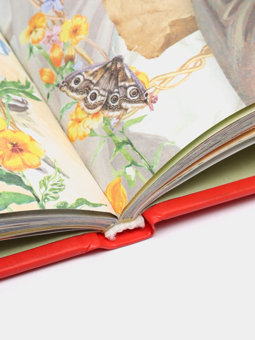 Книга "Сказки для непослушных малышей", сборник сказок