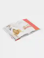 Книга "Энциклопедия красоты от Ирины Салтыковой. Секреты лучших косметологов и стилистов"