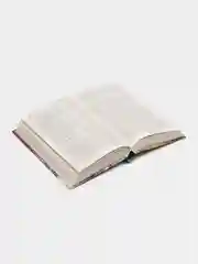Книга "Сеятель бурь. Железный сокол Гардарики", историческая фантастика