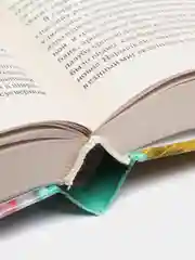 Книга "Сеятель бурь. Железный сокол Гардарики", историческая фантастика