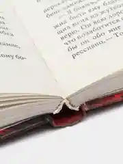 Книга Паника-upgrade. Брат Бога. Александр Мазин. Боевая фантастика