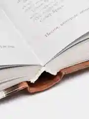 Книга Искусство любви: 1001 совет для идеальных отношений. Разбудите ваши чувства