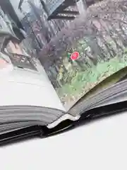 Книга 100 величайших дворцов, которые необходимо увидеть, мировая энциклопедия