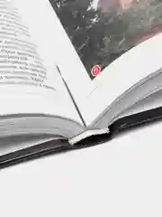 Книга 100 величайших церквей и соборов мира, энциклопедия для детей и взрослых