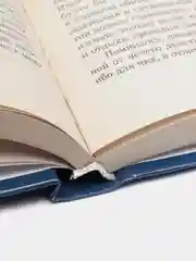 Книга "Георгий Победоносец. Возвращение в будущее", историко-приключенческая драма, роман