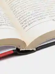 Книга Условия абсолютного добра. Основы этики. Этические сочинения философа Н. О. Лосского