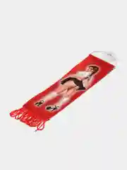 Вымпел "Фрэдлайнер" красный 5,5 х 20 см