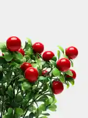 Алый искусственные цветы "Ягодки"