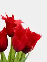 Красный искусственные цветы "Тюльпаны махровые"