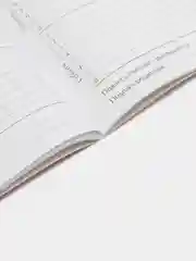Лавандовый дневник школьный