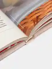Книга Украинская кухня. История, традиции, рецепты. Практическая энциклопедия