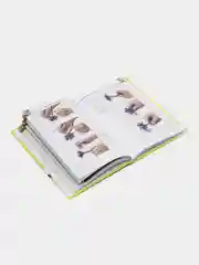 Книга Войлок. Постигаем шаг за шагом. Красивые и модные украшения, аксессуары, игрушки