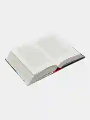 Книга Скиппи умирает. Пол Мюррей. Зарубежный детектив. Фэнтези