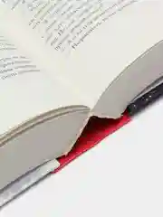 Книга Скиппи умирает. Пол Мюррей. Зарубежный детектив. Фэнтези