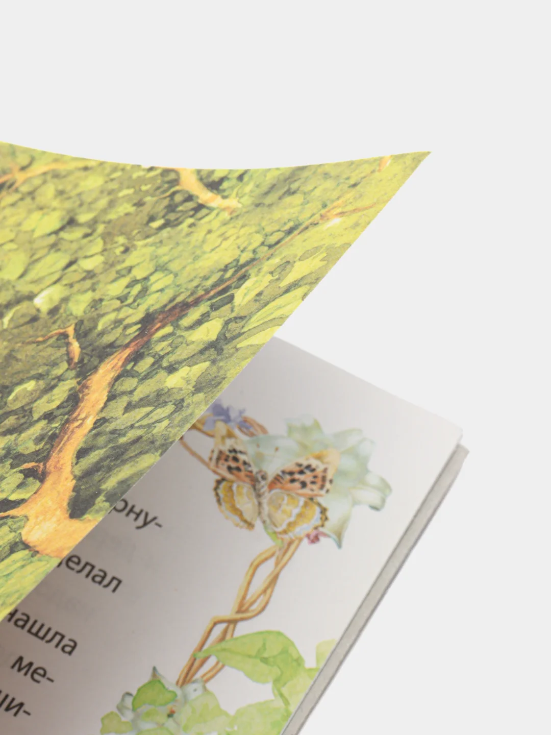 Книга "Моя первая сказка: Мудрая курочка", сказка для детей