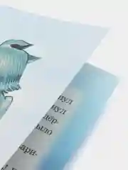 Книга "Волк и лиса", русская народная сказка