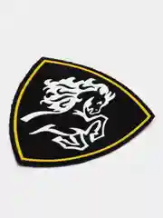 Угольный нарукавный знак регионального командования. Шеврон армейский "Внутренние Войска"