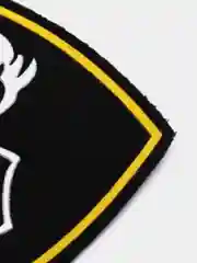 Угольный нарукавный знак регионального командования. Шеврон армейский "Внутренние Войска"