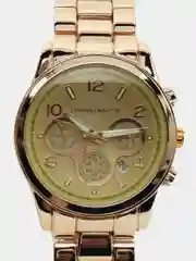 Золотой мужские наручные часы Hannah Martin HM31, в подарочной упаковке