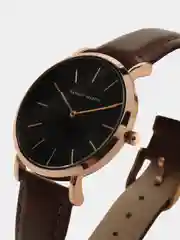 Коричневый мужские наручные часы Hannah Martin HMa0118, в подарочной упаковке