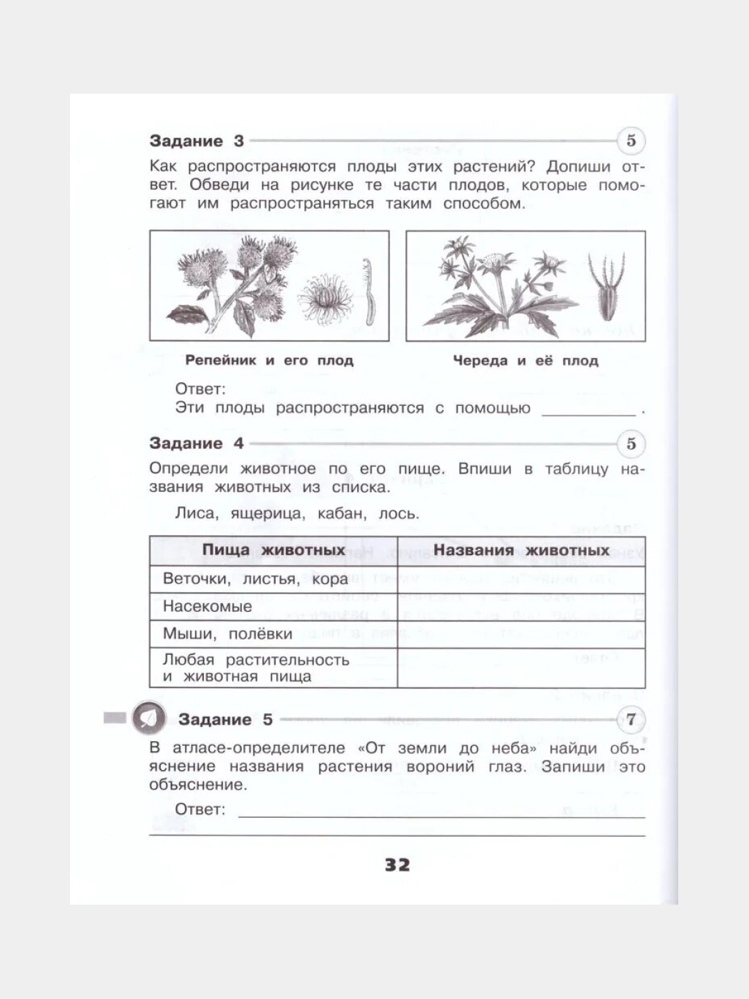 Окружающий мир Проверочные работы 3 класс (Школа России) 2023 купить по  цене 390 ₽ в интернет-магазине KazanExpress