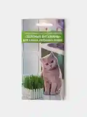 Семена Зеленые Витамины для кошек