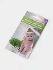 Семена Зеленые Витамины для кошек