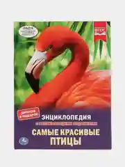 Книга Умка Энциклопедия Самые красивые птицы, с развивающими заданиями