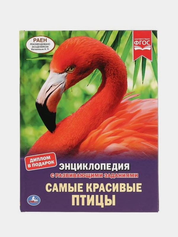 Книга Умка Энциклопедия Самые красивые птицы, с развивающими заданиями