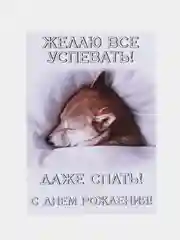 Белый интересная открытка на День рождения