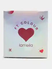 Румяна Lameila для лица с кисточкой, 4 оттенка