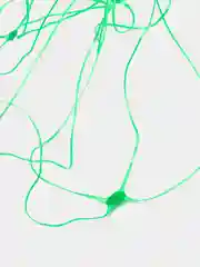Сетка садовая для вьющихся растений, зеленая, 2 х 5 м