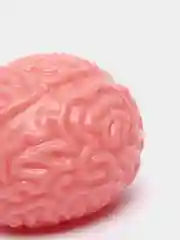 Антистресс мозг
