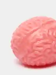 Антистресс мозг