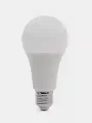 Лампа светодиодная Ergolux, Е27, 25 Вт, LED-A60-25W-E27