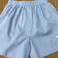Ледяной шорты из льна